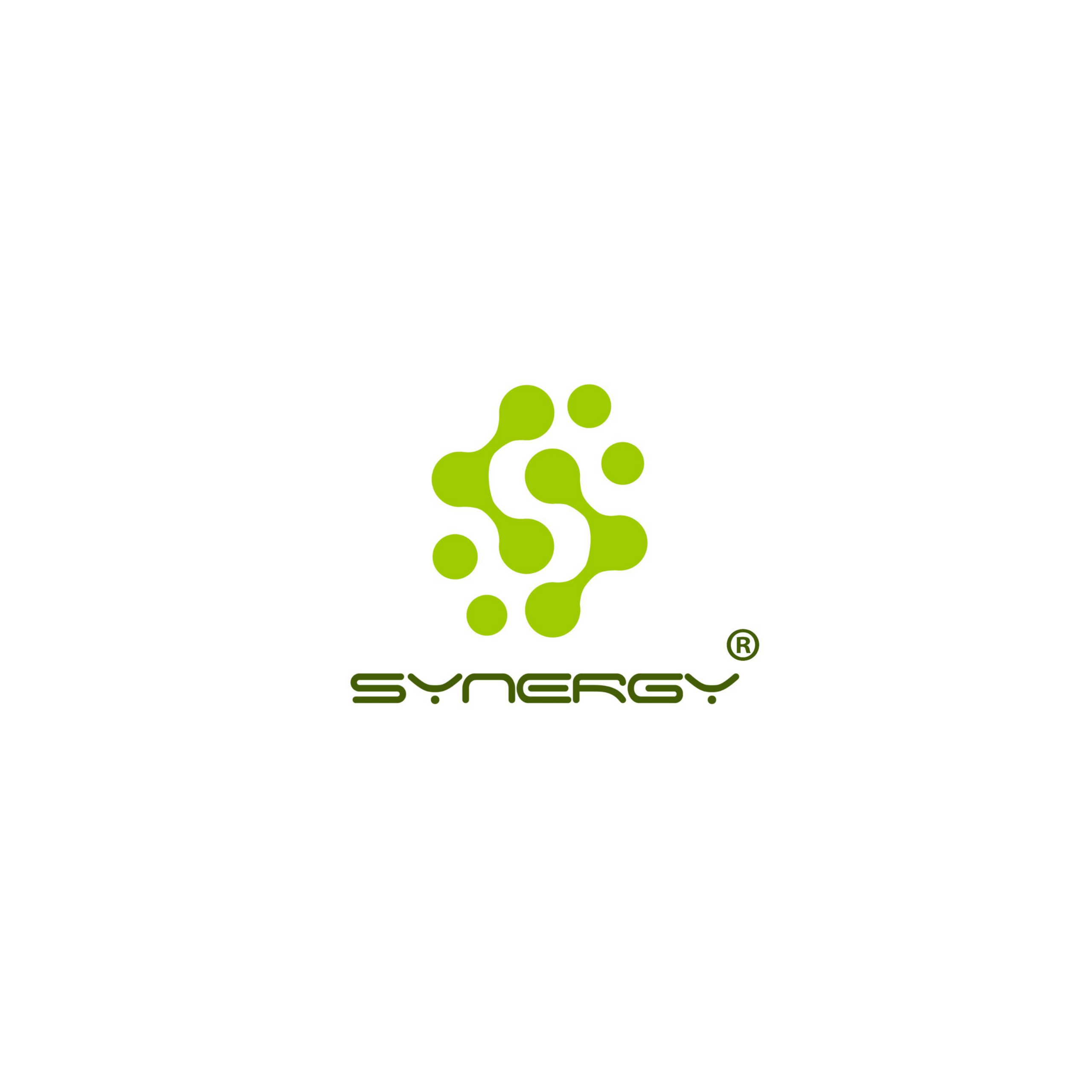 Logo Synergy